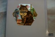 cat and flowers on the table
